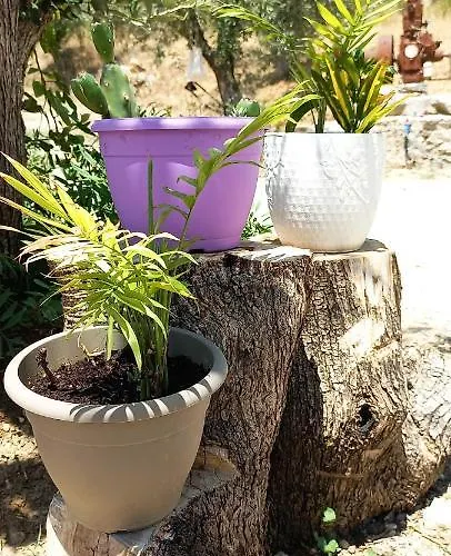 Lily Home_lefkada ~ Private Semesterbostad